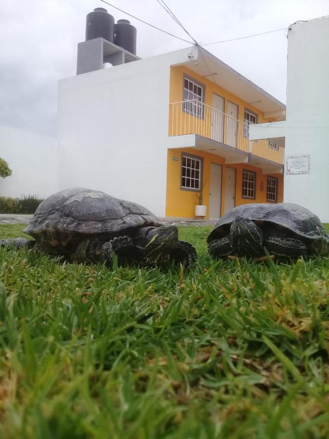Posada Del Angel Pachuca Екстер'єр фото